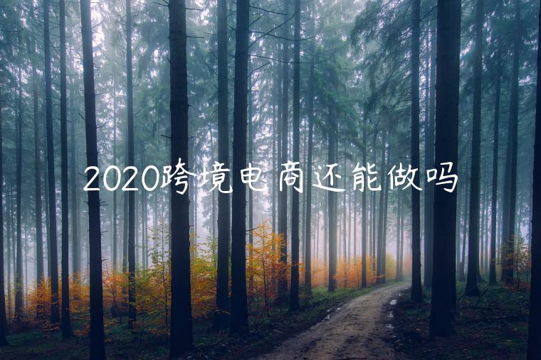 2020跨境電商還能做嗎